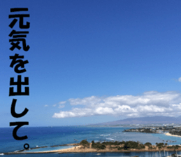 Hawaii's sticker sticker #14386309