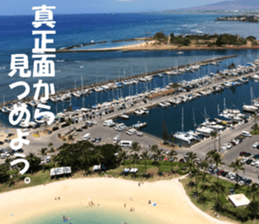 Hawaii's sticker sticker #14386310