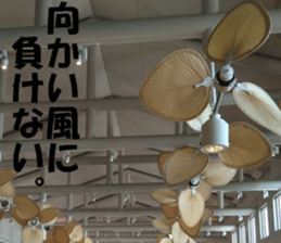 Hawaii's sticker sticker #14386316