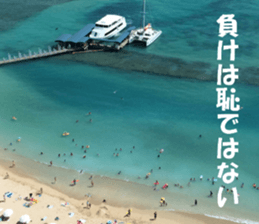 Hawaii's sticker sticker #14386318