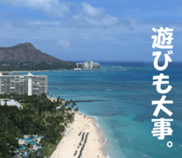 Hawaii's sticker sticker #14386319