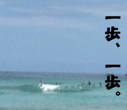 Hawaii's sticker sticker #14386321