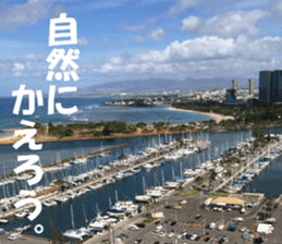 Hawaii's sticker sticker #14386323