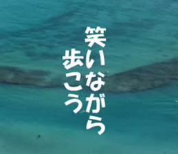 Hawaii's sticker sticker #14386324