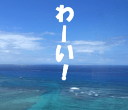 Hawaii's sticker sticker #14386326