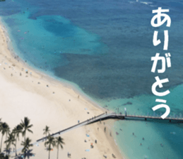 Hawaii's sticker sticker #14386328