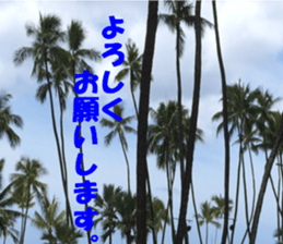 Hawaii's sticker sticker #14386332