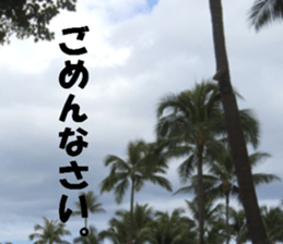 Hawaii's sticker sticker #14386334