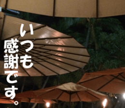 Hawaii's sticker sticker #14386336