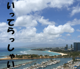 Hawaii's sticker sticker #14386338
