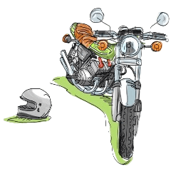 every day helmet boy 2