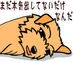 Terrier Sticker3 sticker #14388394