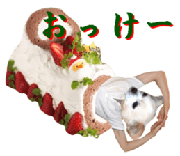 Chihuahua man,New Year's Holiday sticker #14388501