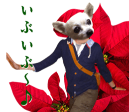 Chihuahua man,New Year's Holiday sticker #14388504