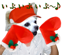 Chihuahua man,New Year's Holiday sticker #14388505