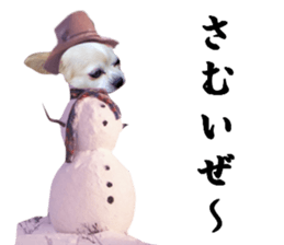 Chihuahua man,New Year's Holiday sticker #14388506