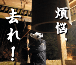 Chihuahua man,New Year's Holiday sticker #14388509