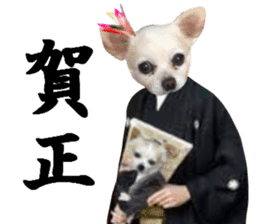 Chihuahua man,New Year's Holiday sticker #14388514