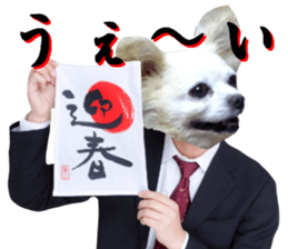 Chihuahua man,New Year's Holiday sticker #14388515