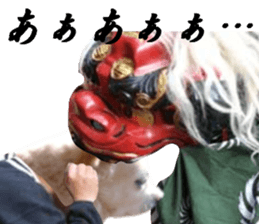 Chihuahua man,New Year's Holiday sticker #14388517