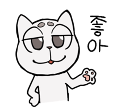 Korean and white cat sticker #14389830