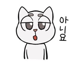 Korean and white cat sticker #14389831