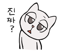 Korean and white cat sticker #14389832