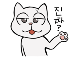 Korean and white cat sticker #14389841