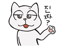Korean and white cat sticker #14389841