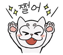 Korean and white cat sticker #14389844