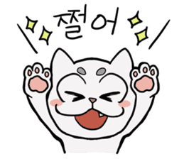Korean and white cat sticker #14389844
