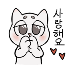 Korean and white cat sticker #14389845