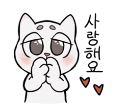 Korean and white cat sticker #14389845
