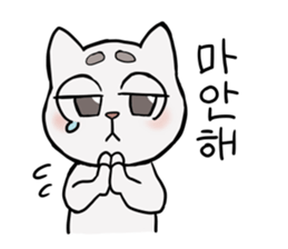Korean and white cat sticker #14389849