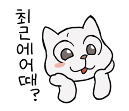 Korean and white cat sticker #14389850