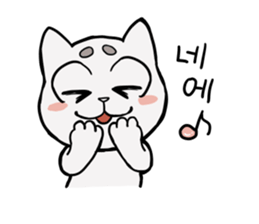 Korean and white cat sticker #14389853