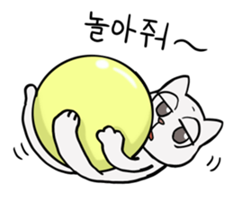 Korean and white cat sticker #14389860