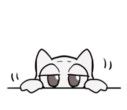 Korean and white cat sticker #14389864