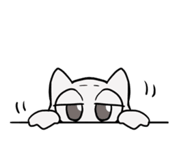 Korean and white cat sticker #14389864