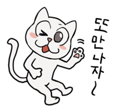 Korean and white cat sticker #14389869