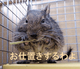 Degu life sticker #14392370