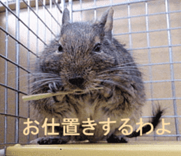 Degu life sticker #14392370