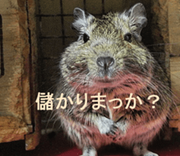 Degu life sticker #14392378