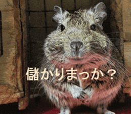 Degu life sticker #14392378