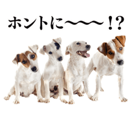 Dog Photo Stickers 01 sticker #14392440