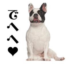 Dog Photo Stickers 01 sticker #14392459