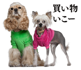 Dog Photo Stickers 01 sticker #14392477