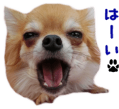 Sticker of Cereza7 sticker #14393022