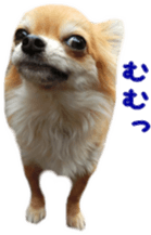 Sticker of Cereza7 sticker #14393024