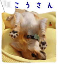 Sticker of Cereza7 sticker #14393027